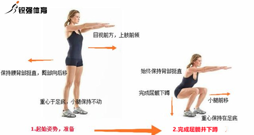 深蹲动作.jpg 深蹲动作.jpg